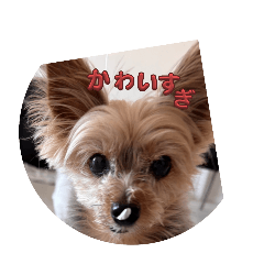 [LINEスタンプ] むちゃおぢ
