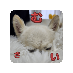 [LINEスタンプ] むちゃとおぢ2