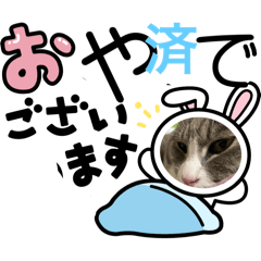 [LINEスタンプ] ニャアのあいさつ状しりとり