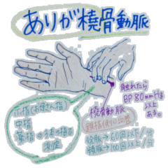 [LINEスタンプ] 合格祈願☆看護師国試 解剖生理学らぶ♡