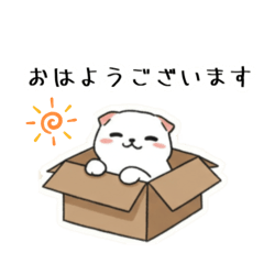 [LINEスタンプ] 敬語＆気遣いゆる猫スタンプ