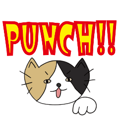 [LINEスタンプ] ポップでキュートな猫様まみれ