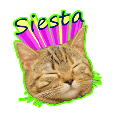 [LINEスタンプ] ネコのペロリ（パッション）