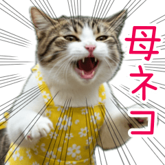 [LINEスタンプ] お母さん猫【毎日】