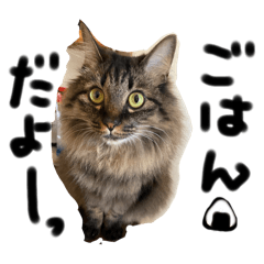 [LINEスタンプ] はなくろひなの画像（メイン）