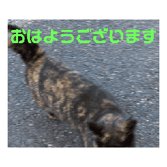 [LINEスタンプ] 焦げちゃん ちびちゃんのあいさつ