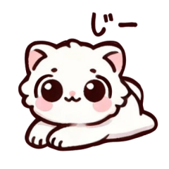 [LINEスタンプ] 白くて可愛い猫のゆきちゃん