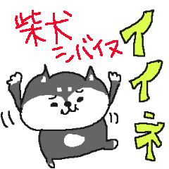 [LINEスタンプ] まんまる柴犬！