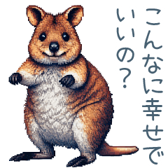 [LINEスタンプ] 陽気なクウォッカワラビー【連絡用】