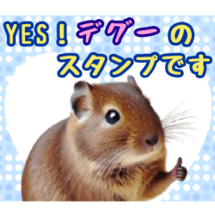 [LINEスタンプ] YES！デグーのスタンプです！