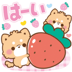 [LINEスタンプ] 気遣い思いやり言葉♡もこしばの日常