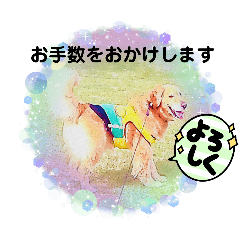 [LINEスタンプ] ゴールデンレトリバーのレオン絵画風③