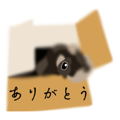 [LINEスタンプ] ミニシュナウザーのスタンプ