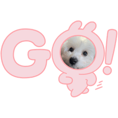 [LINEスタンプ] 僕、てんくん