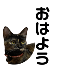 [LINEスタンプ] 麦ちゃんからママへ