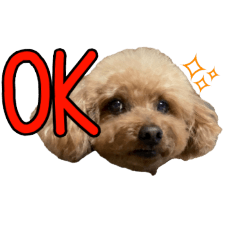 [LINEスタンプ] うちの子⭐