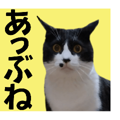 [LINEスタンプ] ガブリエルその40