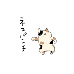 [LINEスタンプ] すまし顔のネコスタンプ