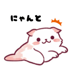 [LINEスタンプ] 【便利なあいづち】猫のスコティッシュ