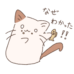 [LINEスタンプ] ノーマル猫たちの日常2