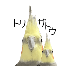 [LINEスタンプ] あんこ君特集