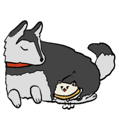 [LINEスタンプ] ハスキー犬とポメラニアン犬の仲良スタンプ