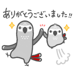 [LINEスタンプ] おしゃべりヨウムのよく使う敬語