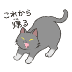 [LINEスタンプ] おうちに帰るときのネコたちスタンプ