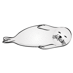 [LINEスタンプ] アザラシのいる日常