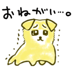 [LINEスタンプ] ペキ柴・くるみのまいにち♪