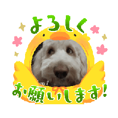 [LINEスタンプ] ドゥードル＆ピジョン＆にゃん