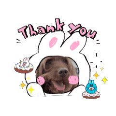 [LINEスタンプ] 動くよ。天才！！F1labradoodleばぶ君とT＆3の画像（メイン）