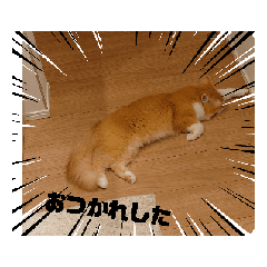 [LINEスタンプ] Ragamafin