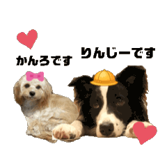 [LINEスタンプ] うごくりんかん