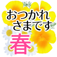 [LINEスタンプ] 春の華やかお祝いスタンプ✿ずっと使える！✿