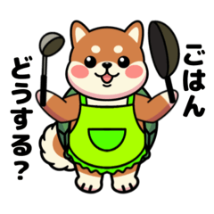 [LINEスタンプ] カメ柴#家族で使える日常会話