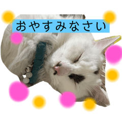 [LINEスタンプ] 可愛すぎるこころ