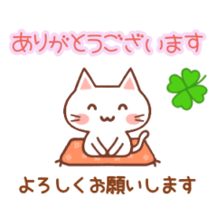 [LINEスタンプ] 【ずっと使える】おねがい猫♡ありがと猫2