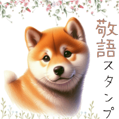 [LINEスタンプ] 大人の敬語スタンプ♡柴犬