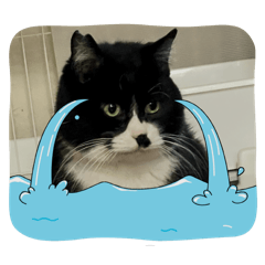 [LINEスタンプ] 田中 福丸