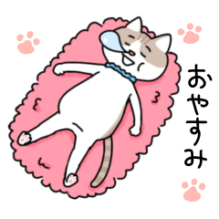 [LINEスタンプ] お腹ぽっこり太っちょ猫