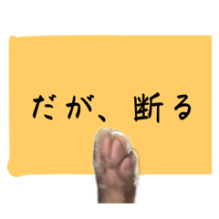 [LINEスタンプ] お断りスタンプ～肉球添え～