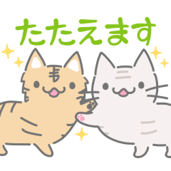 [LINEスタンプ] たたえあうネコチャン