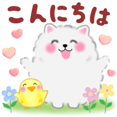 [LINEスタンプ] ポメラニアン「ぽちゃん」優しい敬語