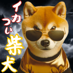 [LINEスタンプ] イカしてる⭐︎柴犬