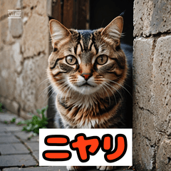 [LINEスタンプ] 楽しく感情表現できるスタンプ！