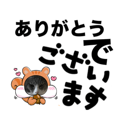 [LINEスタンプ] ニャアのあいさつ状しりとりp2