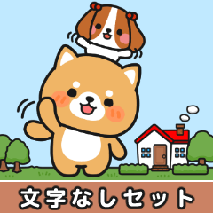 [LINEスタンプ] 文字なし♪アレンジ便利 #柴犬クッキー11