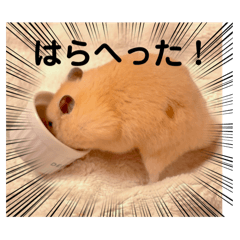 [LINEスタンプ] 毎日まるといっしょ2