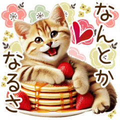 [LINEスタンプ] 喜怒哀楽の激しい猫のいちごスタンプ♡